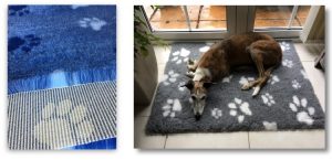 Adopting a galgo - what you'll need: vet bed