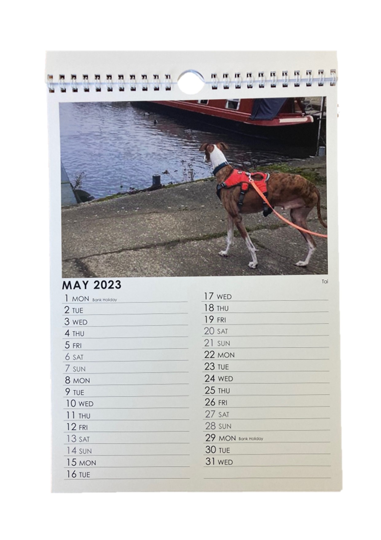 Greyhounds in Need Calendar 2023 Greyhounds in Need