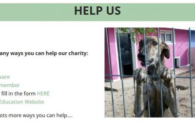 Can you help GIN?