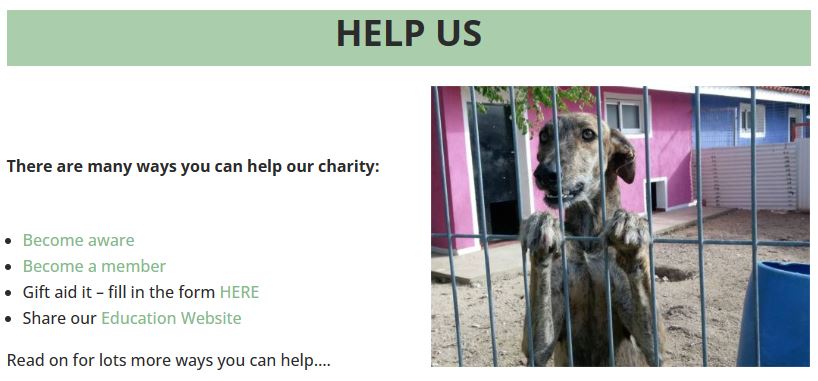 Can you help GIN?