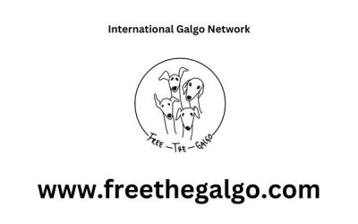 Free the Galgo