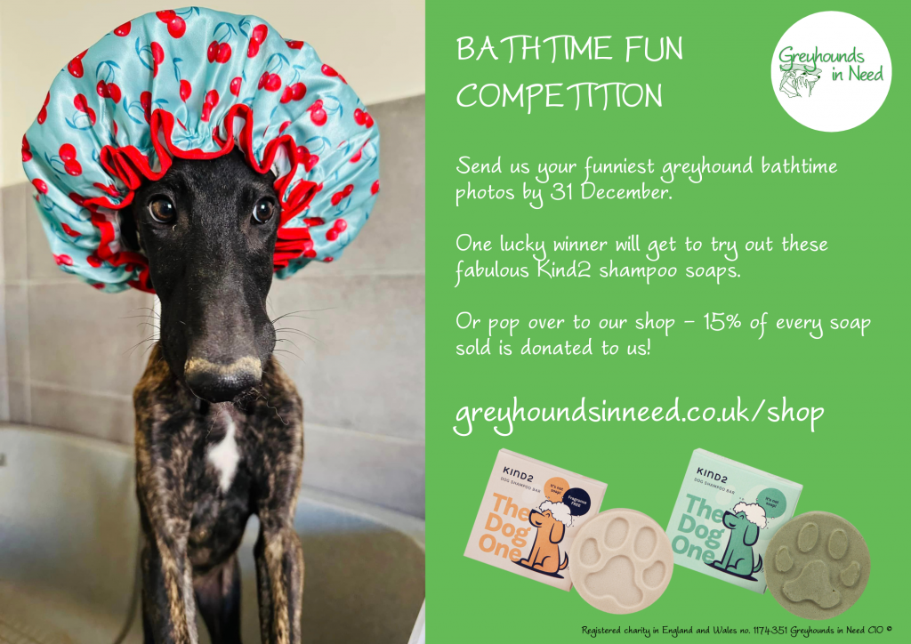 Bathtime Competition WIN natural dog shampoo bars Greyhounds in Need
