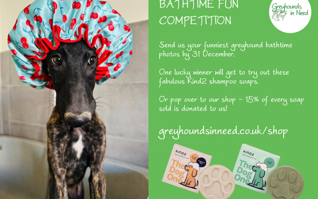 Bathtime Competition – WIN natural dog shampoo bars