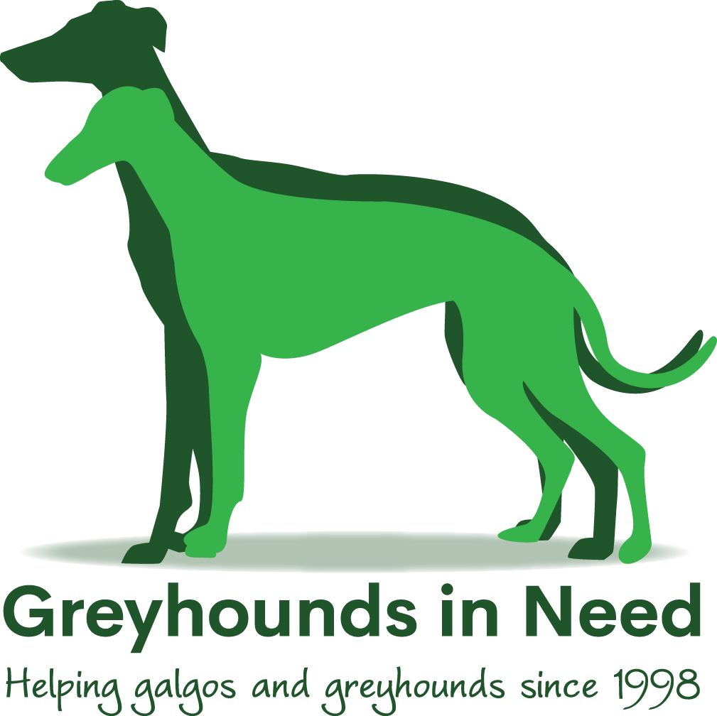 Greyhounds in Need