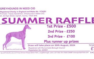 Greyhounds in Need – Summer 2024 Raffle