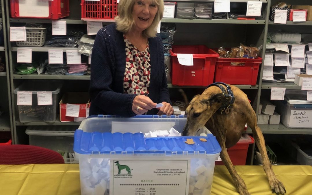 Greyhounds in Need – Summer 2025 Raffle Draw